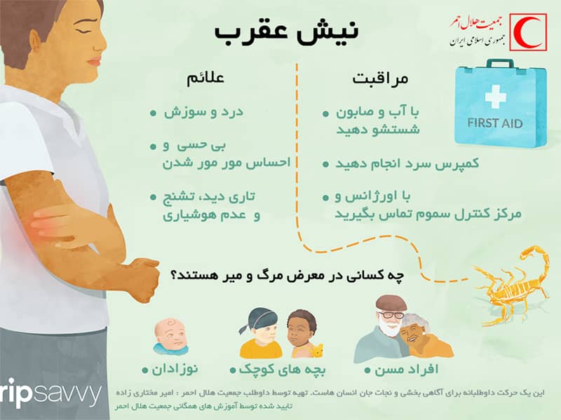 چه کسانی در معرض مرگ و میر ناشی از عقرب گزیدگی هستند؟/اینفوگرافیک
